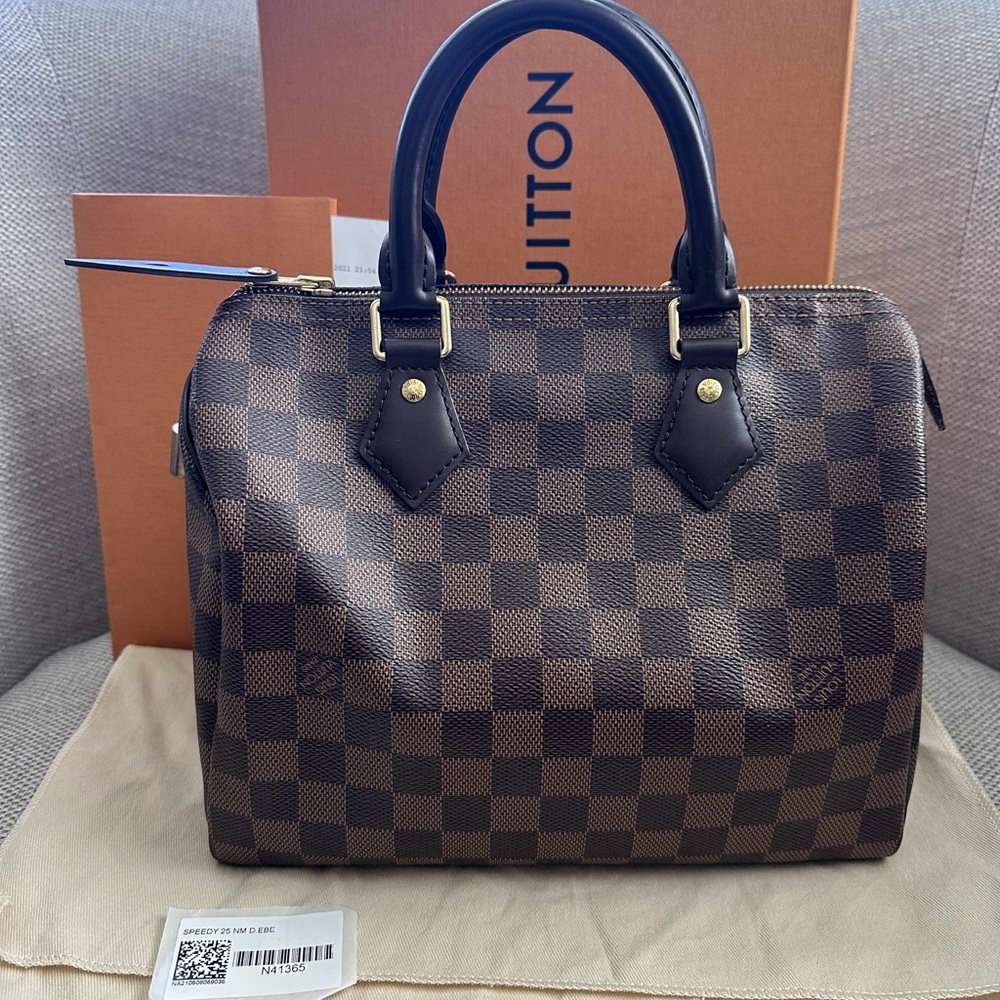 Louis Vuitton Damier Ebene Satchel